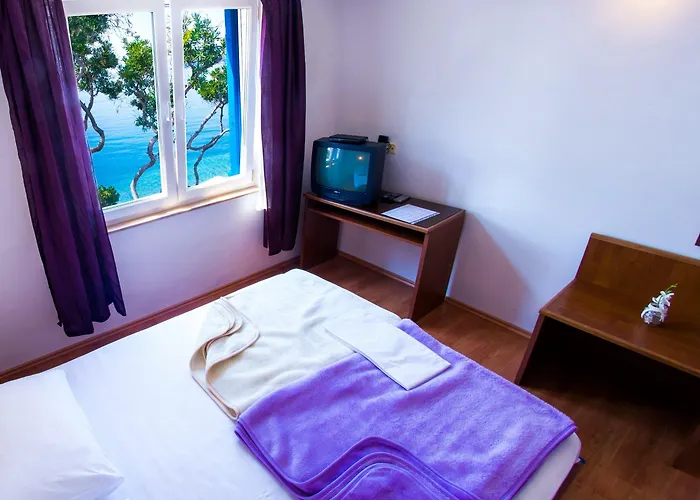 Beach Hotel Drašnice